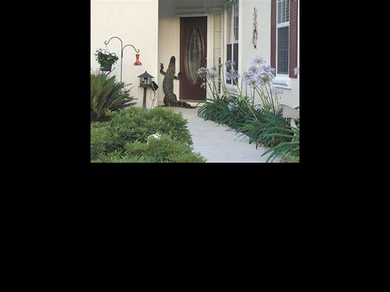 An alligator climbing up a front door