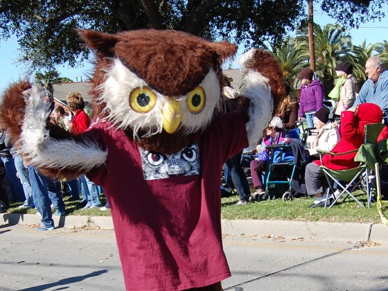 Chalmette High's Owl Mascot