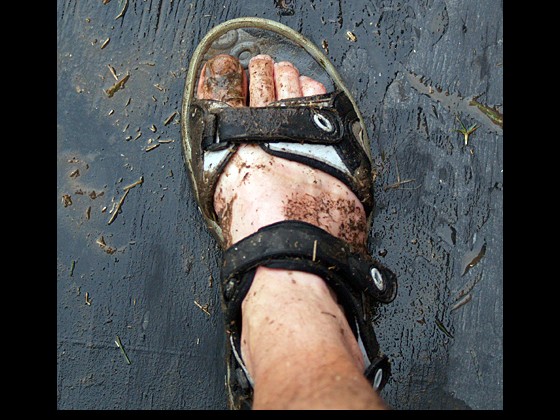 2008: Don't wear your best sandals