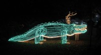 Antlergator photo at Celebration in the Oaks by Infrogmation [http://flickr.com/infrogmation]